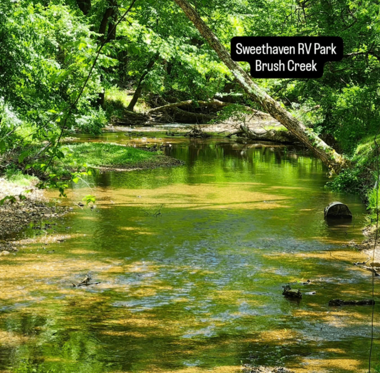 Brush Creek near Sweet Haven RV Park and Camp Ground